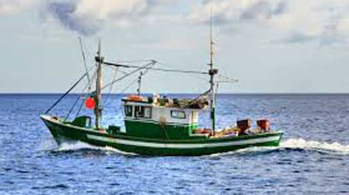 Navy arrests 31 local fishermen engaged in illegal fishing