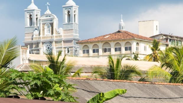 Catholic priests told not to put up Christmas trees in church?