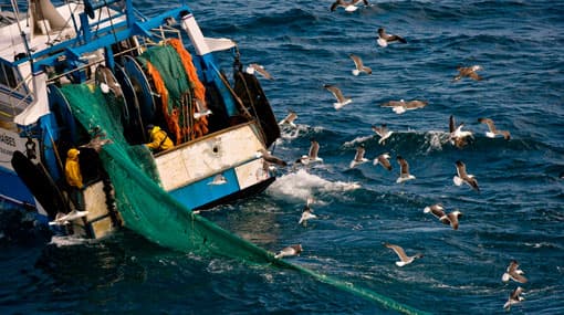 India proposes subsidy to end bottom trawling in Sri Lankan waters
