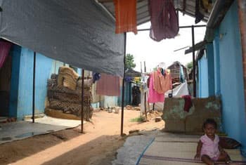 Over 1,600 refugees return since Jan 2012 from TN - UNHRC