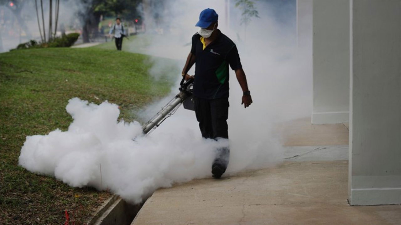 Dengue larvae detected in 50 out of 189 state institutions inspected