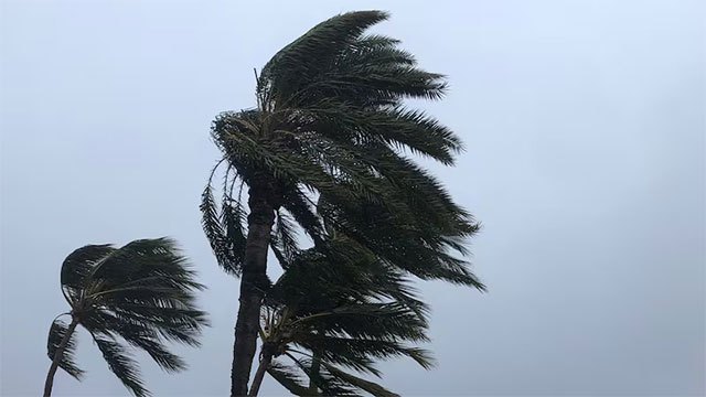 Weather advisory issued for strong winds