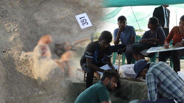 Chemmani becomes largest mass grave unearthed in Northern Province as exhumed remains exceed 350