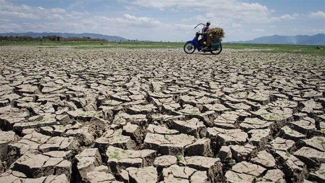 Australia declares strong El Nino in tropical Pacific as risks to agriculture loom
