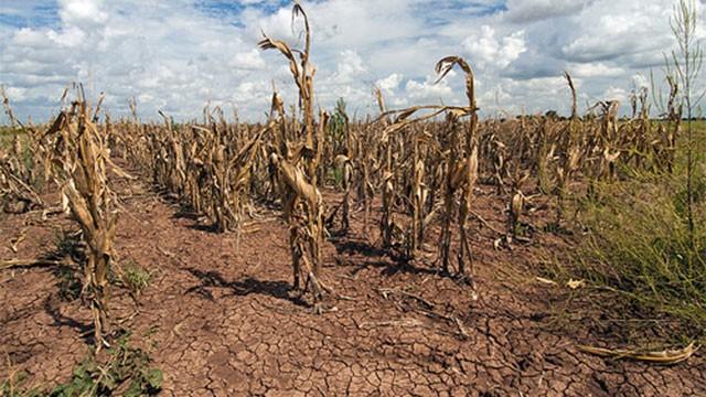 New insurance schemes introduced for Agricultural sector