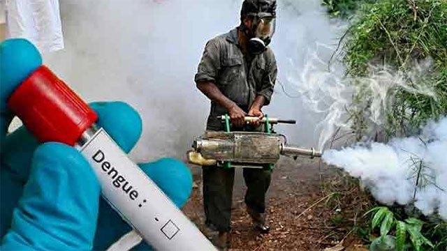 Dengue cases surge amid delays in preventive action, health officials warn