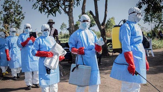 Global Ebola risk 'remains low', WHO chief says