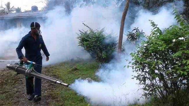 Fogging not a long-term solution to dengue control, experts say