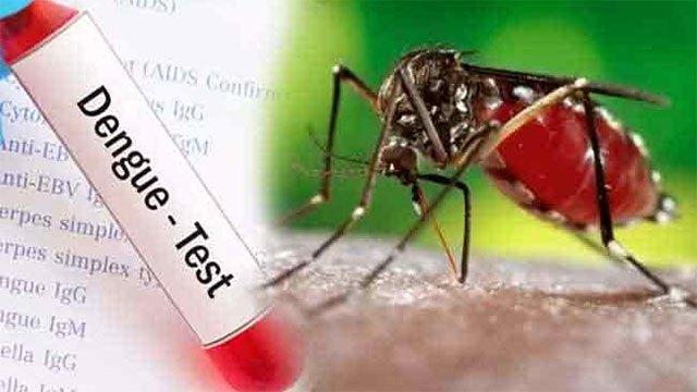 124 high-risk areas identified as dengue infections surpasses 53,000