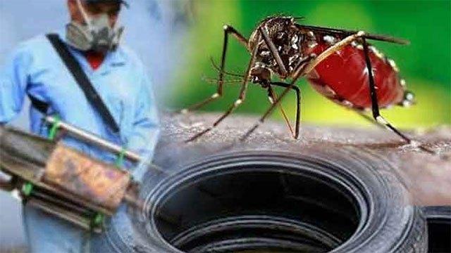 Health Ministry sets up Dengue Operations Centre and Hotline