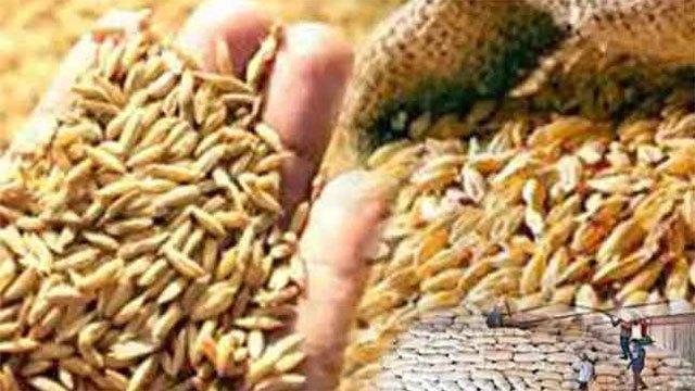 Govt. announces guaranteed prices for paddy for ‘Yala’ season