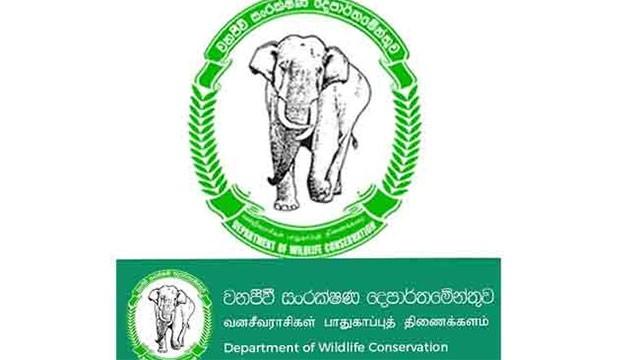 Wildlife Dept. staff stage trade union action over civil security recruitment plan