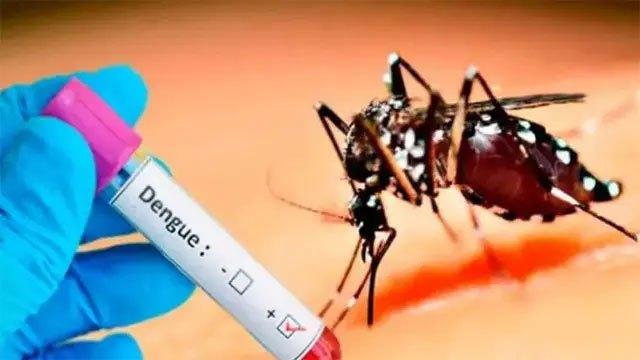 Sri Lanka reports 13,292 dengue cases in first 12 days of July