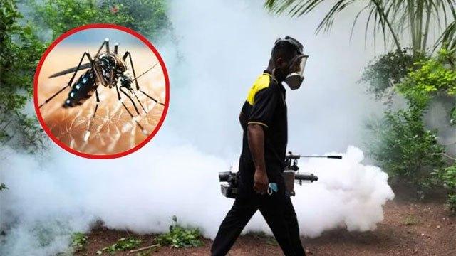 Sri Lanka’s dengue cases surpass 73,000 as death toll rises to 50