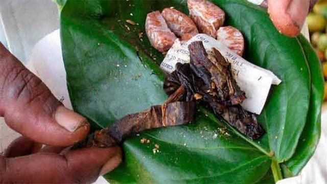 Legal action to be taken against sale of tobacco with betel quids - PHI Union
