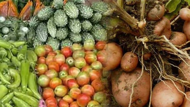 New insurance scheme introduced for potato and vegetable cultivations