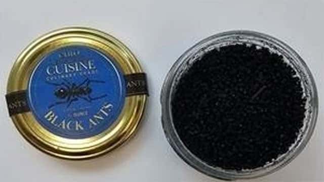 Michelin-starred restaurateur faces jail for using ants as dessert garnish