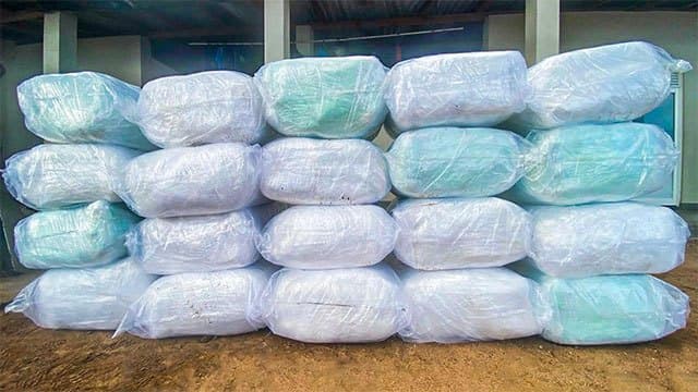 Navy seizes over 735kg of smuggled Kendu leaves in Negombo lagoon