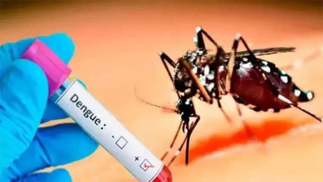 Dengue cases in Sri Lanka surpass 81,500 with death toll at 61