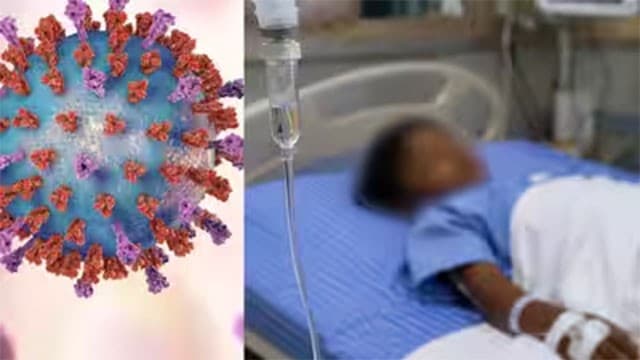 22 children die from Chandipura virus outbreak in Gujarat; 35 cases confirmed