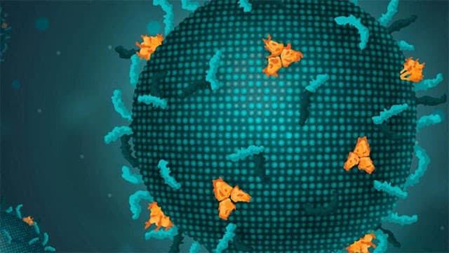 Scientists use AI to create viruses that don’t exist in nature for the first time
