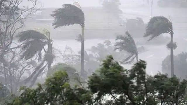 Weather advisory issued for strong winds