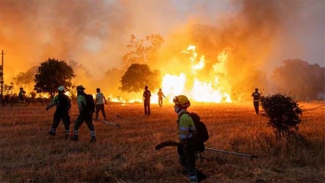 Western Europe experienced hottest June-July on record: EU monitor
