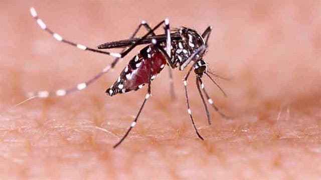 Dengue cases surpass 90,000 in Sri Lanka