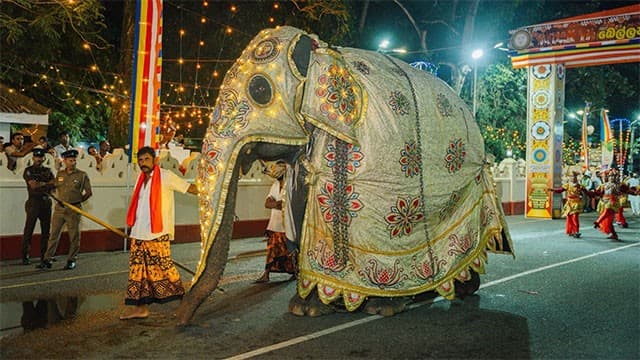 Traffic restrictions announced for Bellanwila Esala Perahera