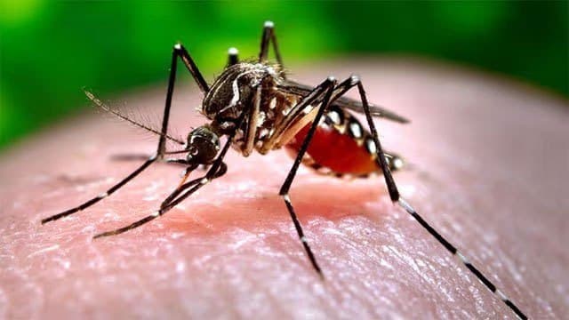 Dengue cases in Sri Lanka near 91,000