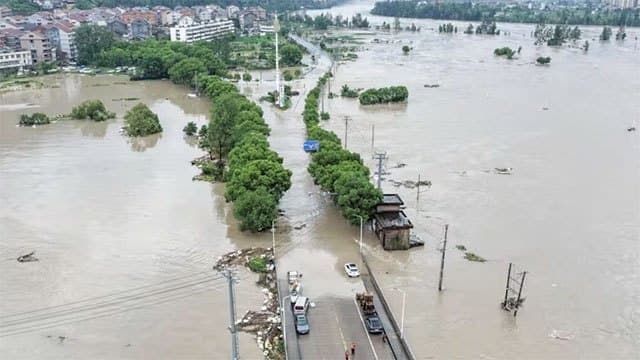 Rain pounds Beijing as Typhoon Dolphin sweeps through China
