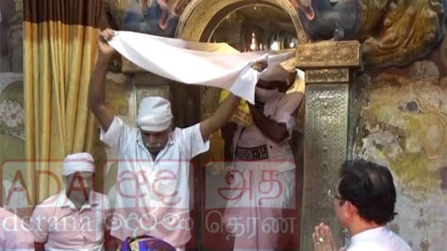 Kandy Esala Perahera rituals begin with Kap planting ceremony