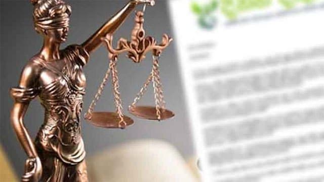 22nd Amendment would make executive influence over judiciary a reality - ‘Dinana Dakuna’