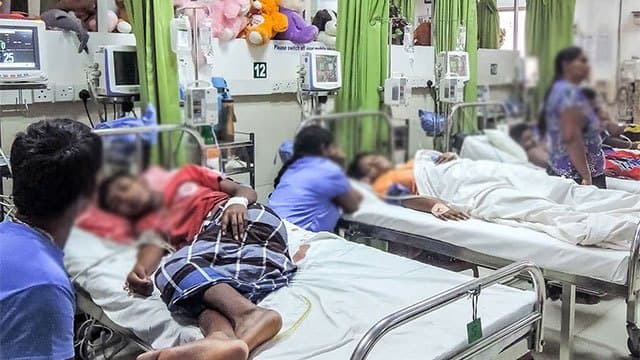Nearly 7,000 dengue cases reported in August