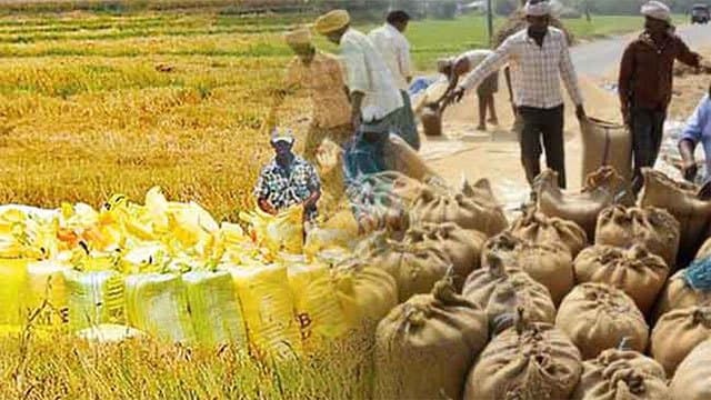 Yala paddy purchase programme launched through small and medium-scale rice mills