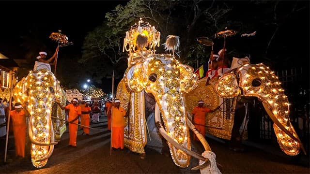 Kandy Esala Perahera: Second Kumbal Perahera parades the streets