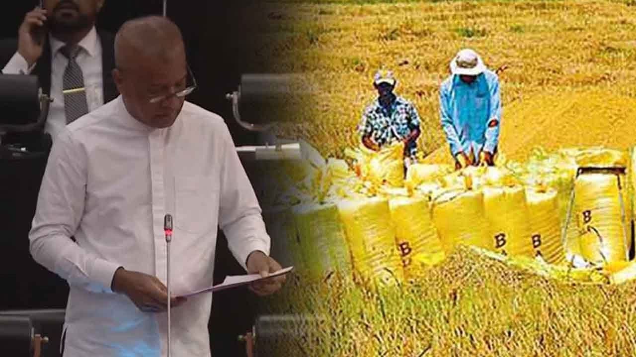 Rs. 7.5 billion supplementary estimate for paddy procurement tabled in Parliament