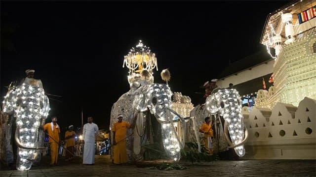 Gazette to be issued on providing captive elephants for ‘Peraheras’ – Deputy Minister
