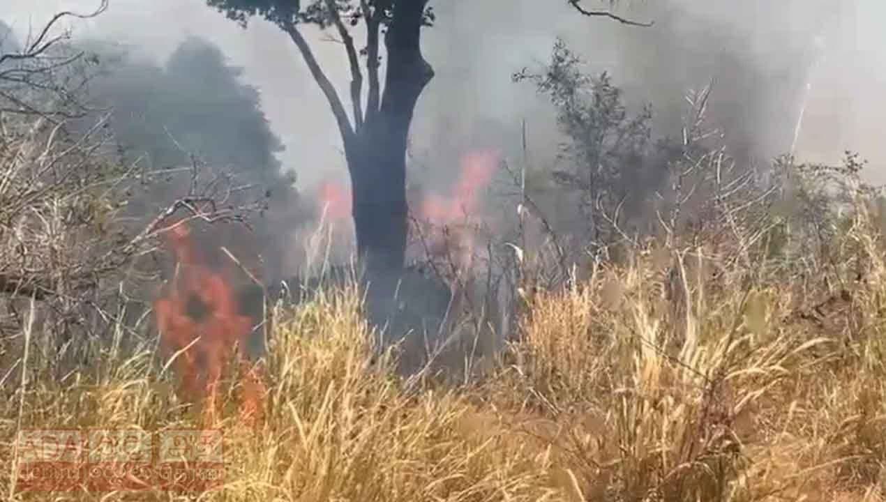 Over 100 acres destroyed in fire at Habarana Hurulu Eco Park