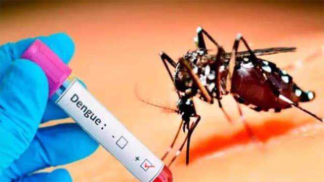 Dengue cases in Sri Lanka surpass 94,000