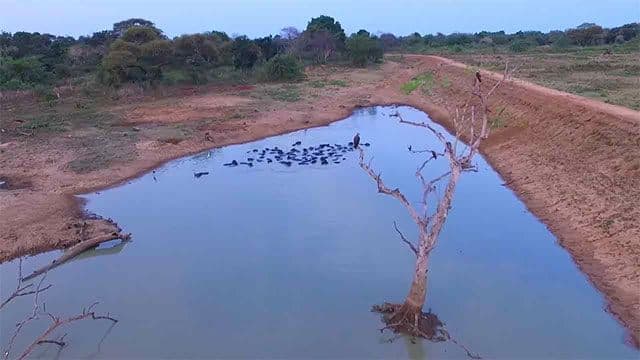 Islandwide reservoir capacity drops to 36% amid dry weather conditions