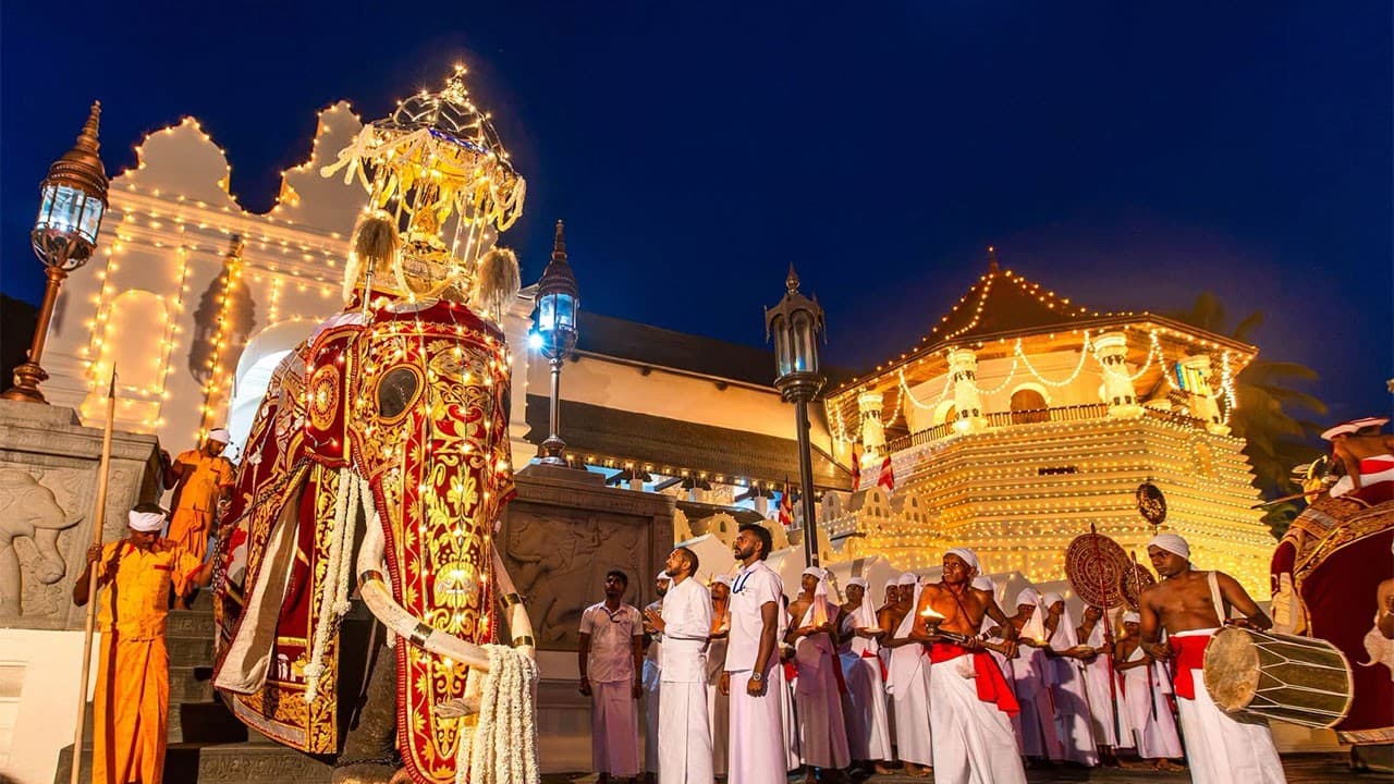 Delhi-based diplomats to witness Kandy Esala Perahera
