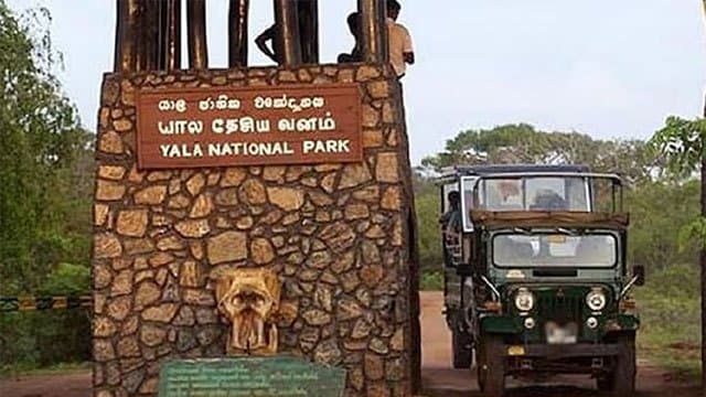 Blocks 1 & 2 of Yala National Park temporarily closed to public