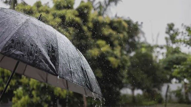 Showers expected in parts of the island today