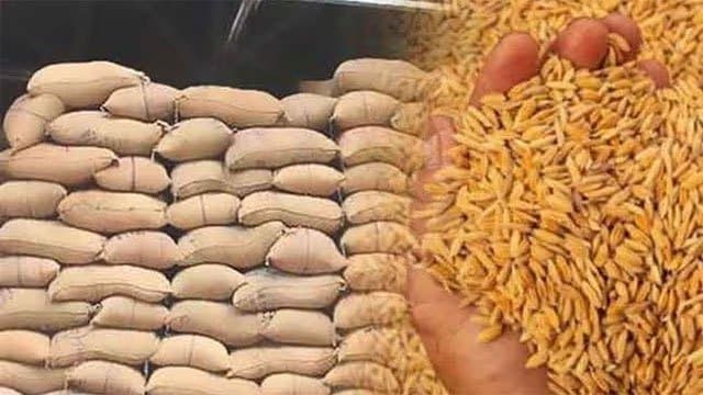 PMB purchases over 46,000MT of paddy