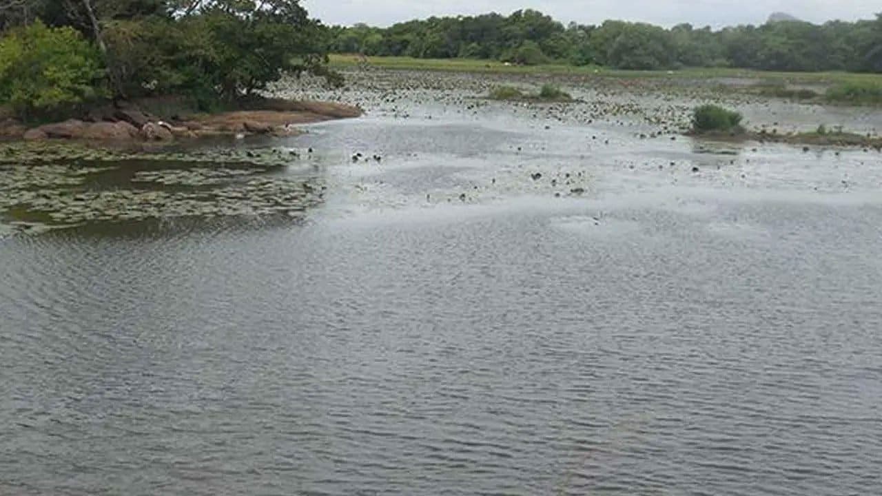 World Bank-funded programme to restore 296 minor irrigation tanks
