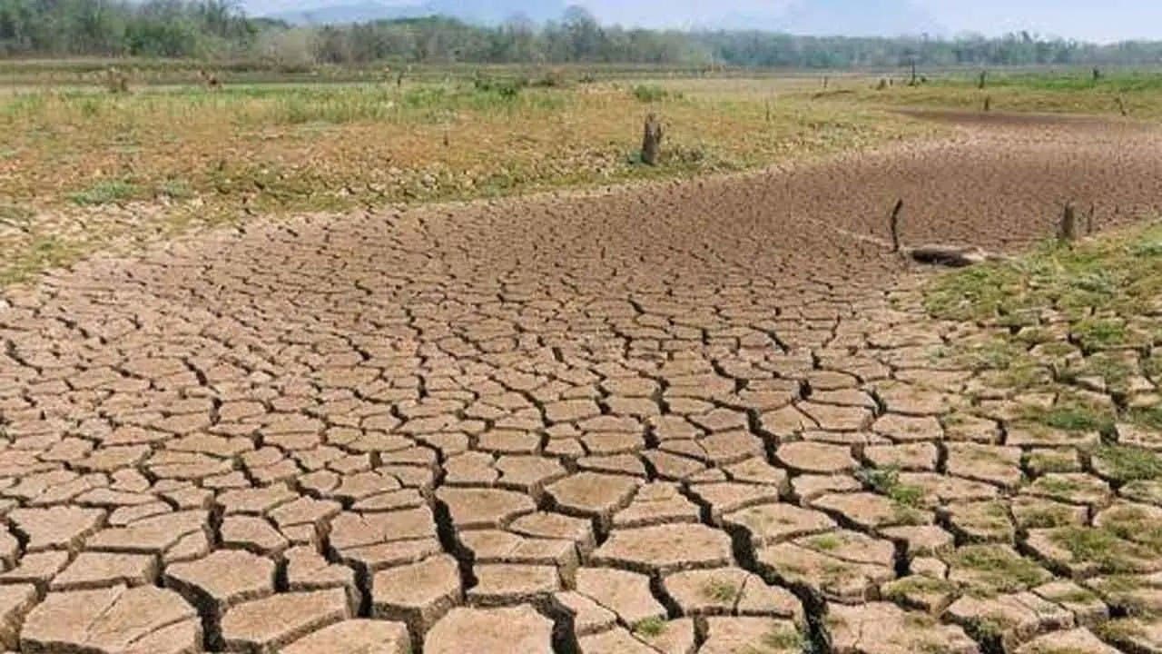 Nearly 8,000 acres of crops damaged due to dry weather in Sri Lanka - Minister