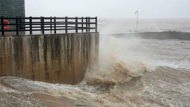 Schools, ferry routes suspended as Typhoon Saudel lashes east China