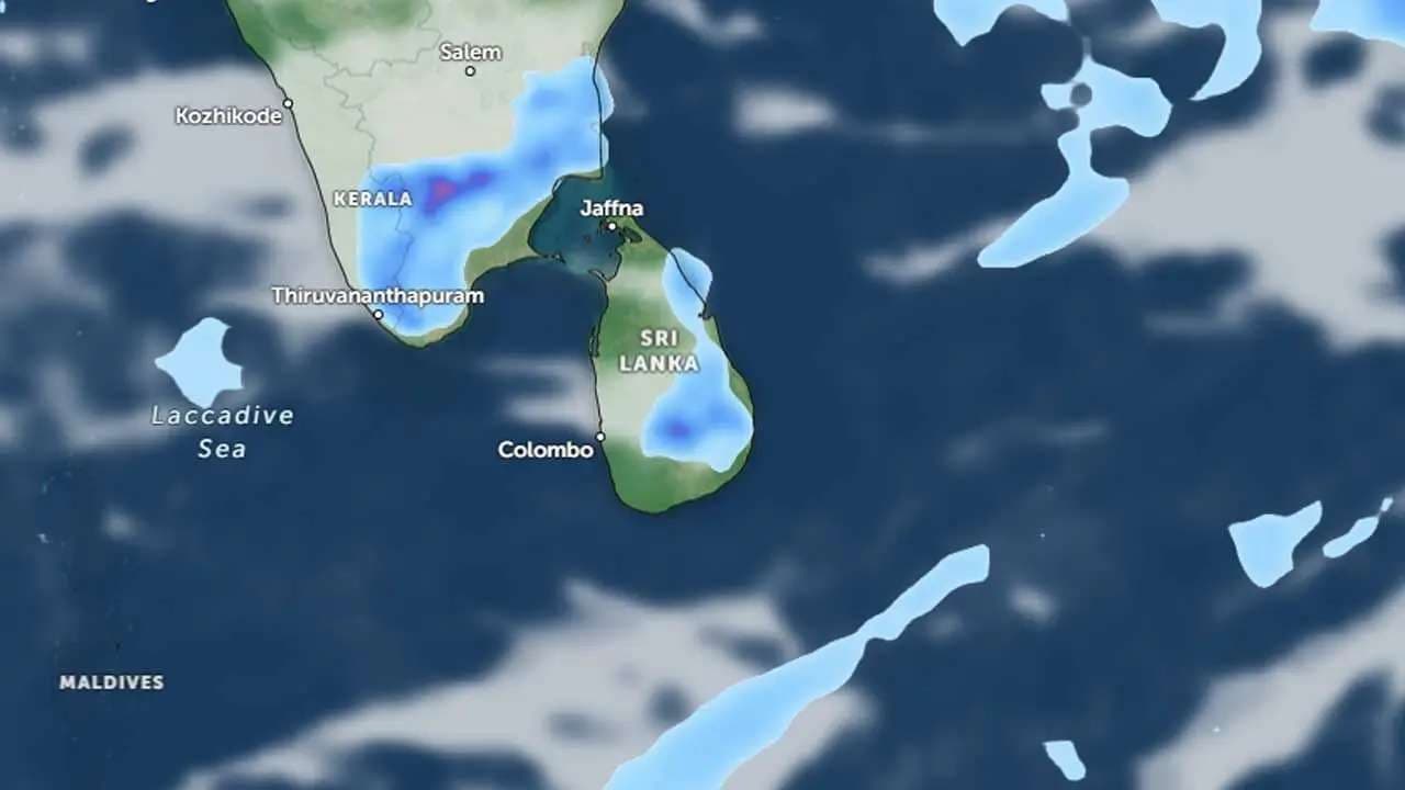 Showers above 50mm expected in several areas today