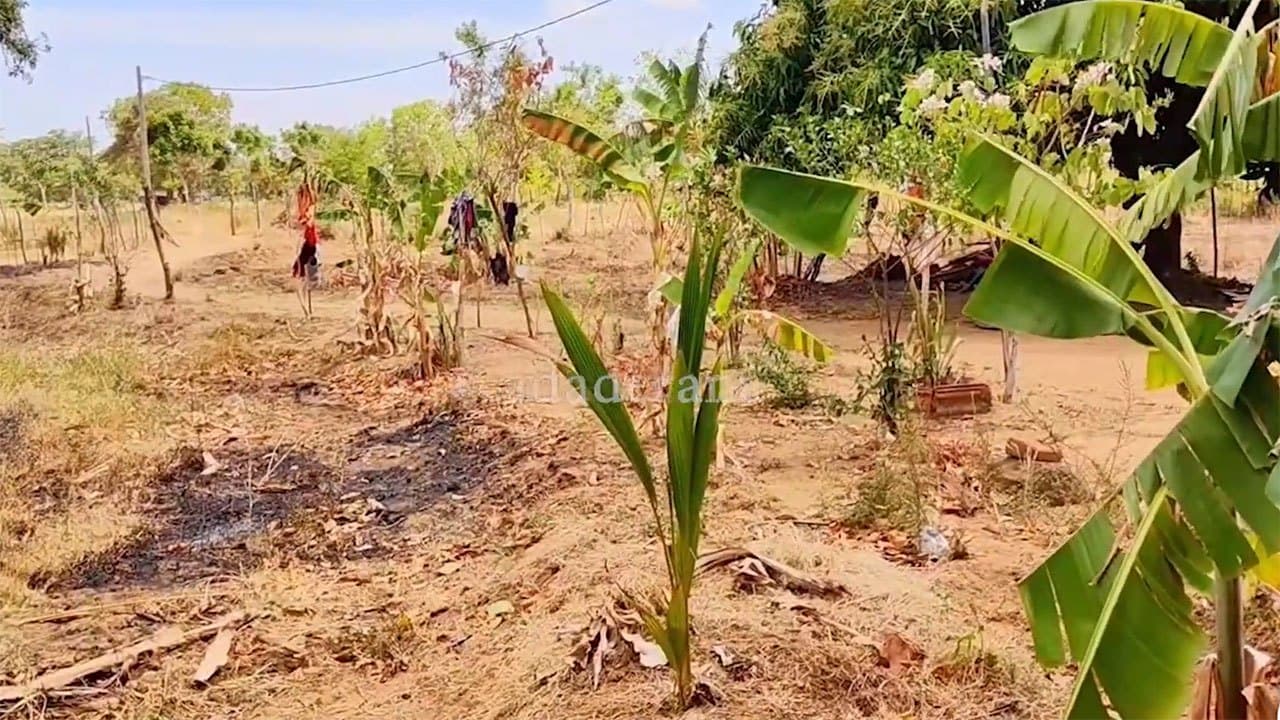 Over 96,000 people affected by dry weather: DMC